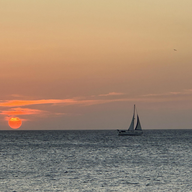 Sail