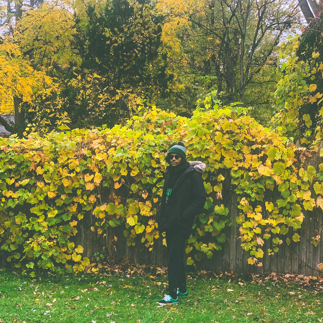 edith 2 cover art