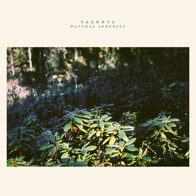 natural serenity cover art