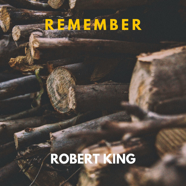 Remember cover art