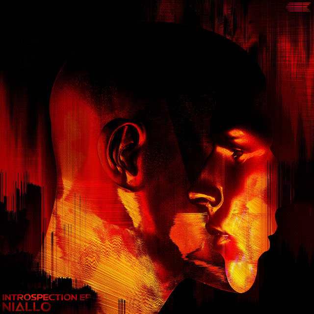Introspection cover