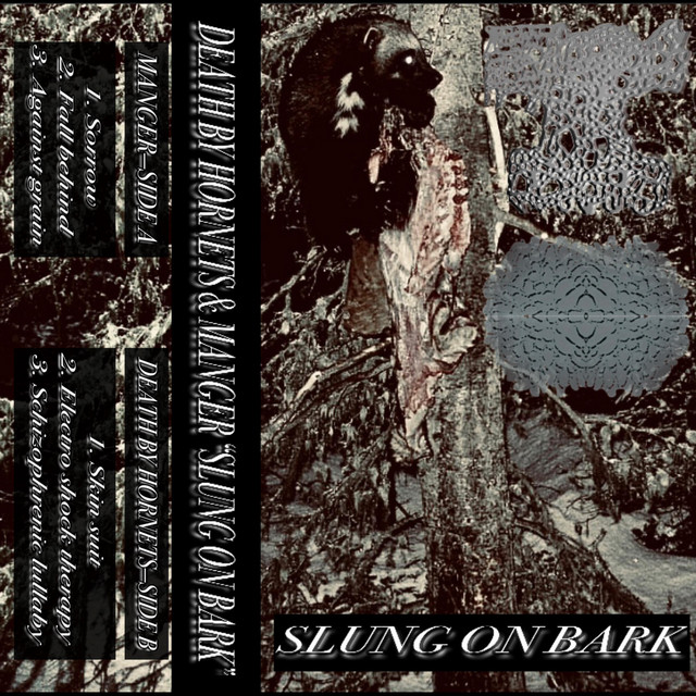 SLUNG ON BARK cover art
