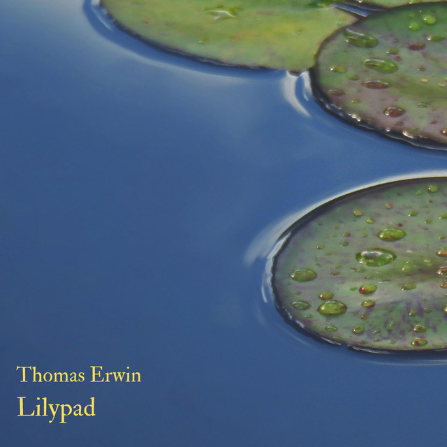 Lilypad cover art