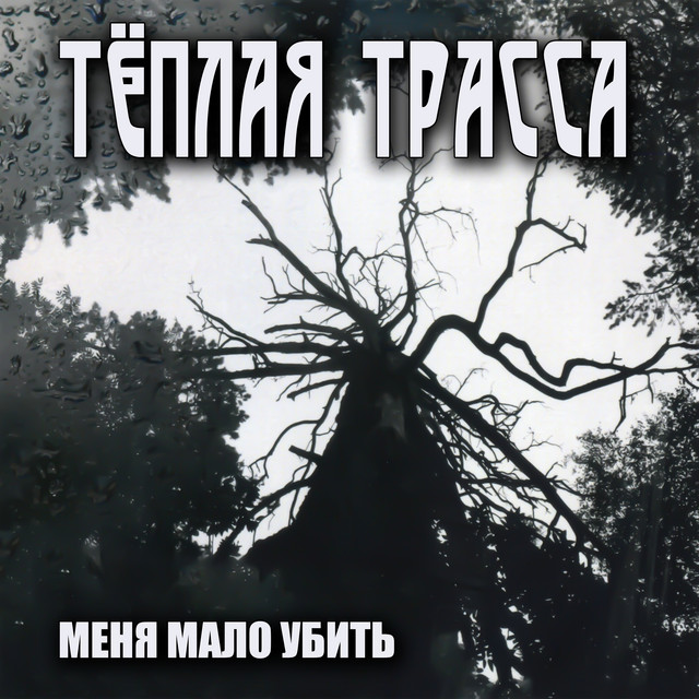 Меня мало убить cover art