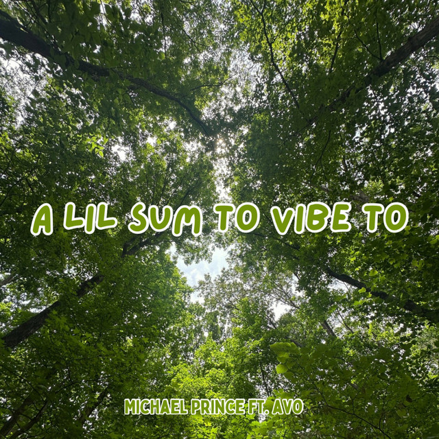 A Lil Sum to Vibe To