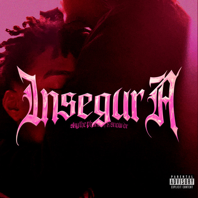 INSEGURA