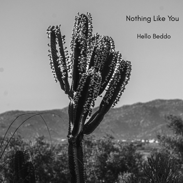 Hello Beddo