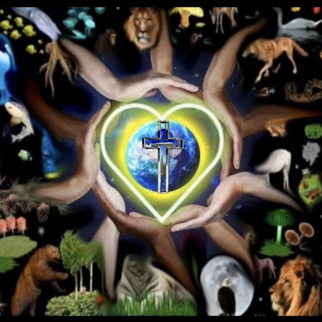 Worship the splendor cover art