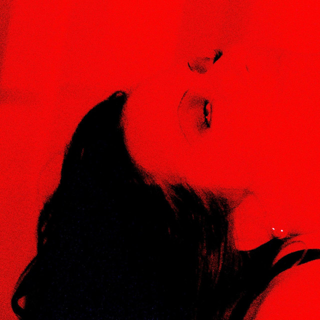 Camera cover art