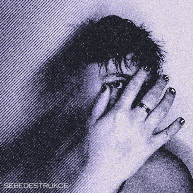 SEBEDESTRUKCE cover art