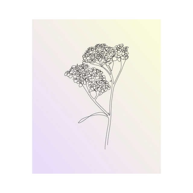 Yarrow cover art