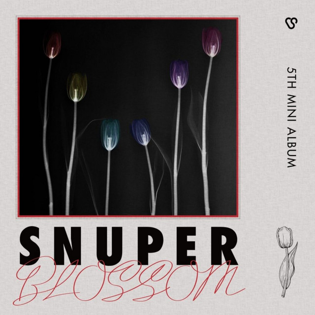 BLOSSOM cover art