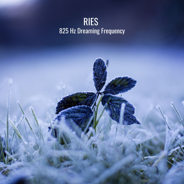 528 Hz Dreaming Frequency cover art