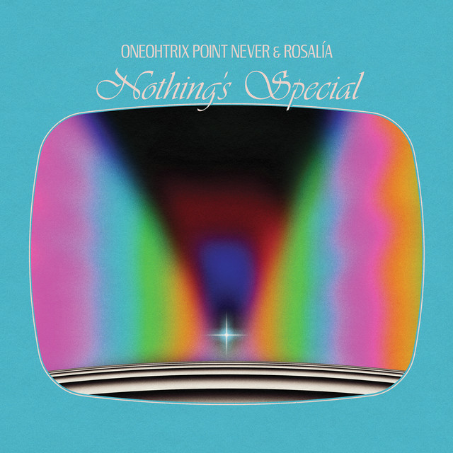 Nothing's Special cover art