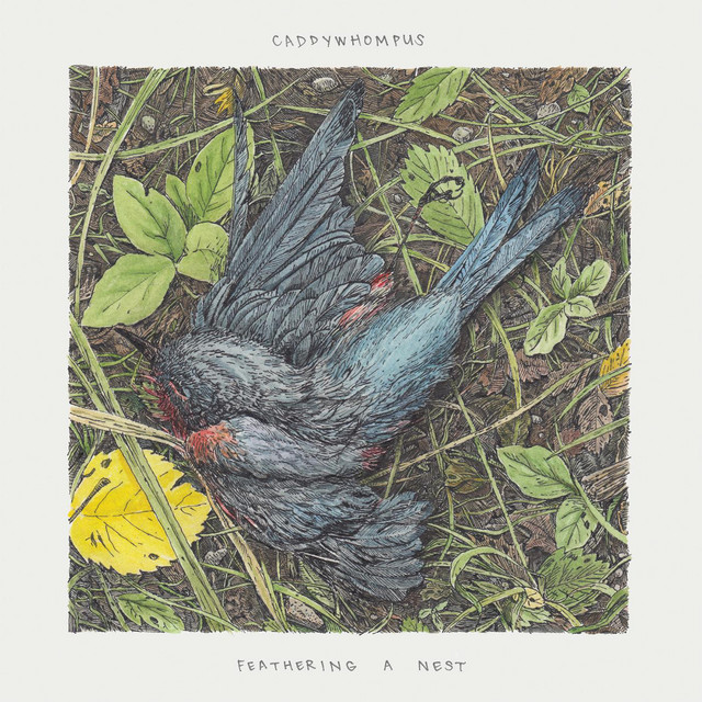 Feathering a Nest cover art