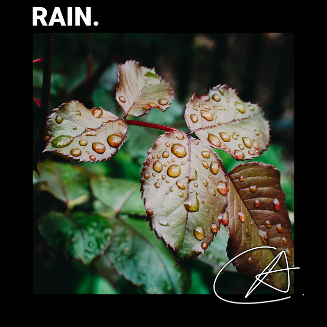 Rain Drops cover art