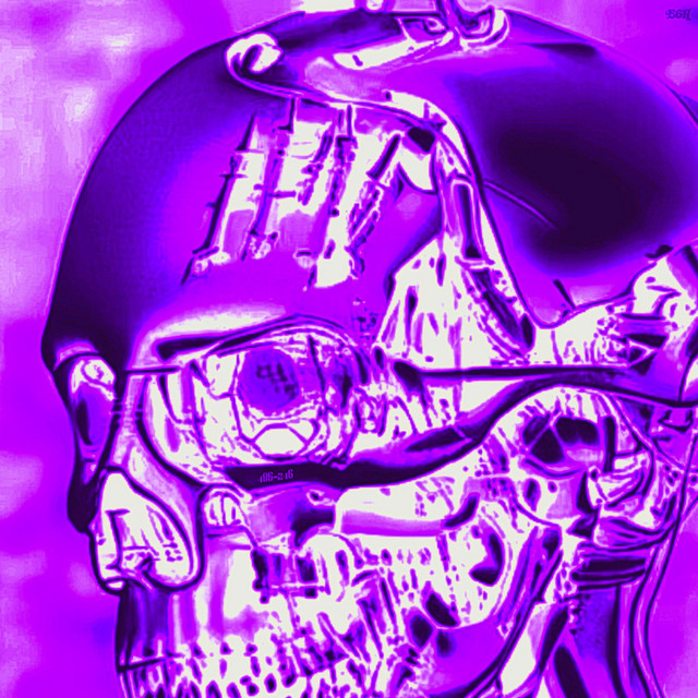 486-246 cover art