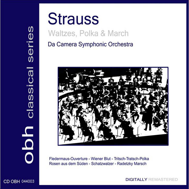 Da Camera Symphonic Orchestra