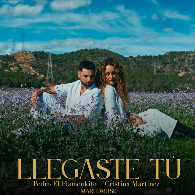 Llegaste Tú