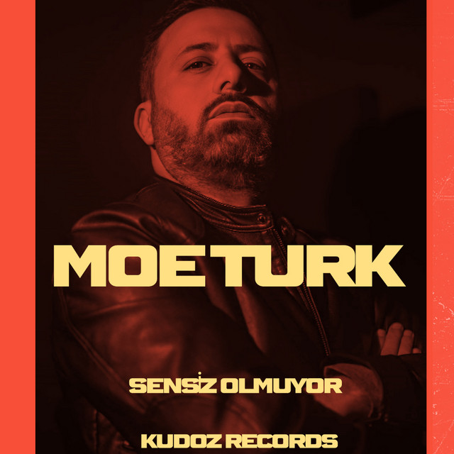 SENSİZ OLMUYOR artwork