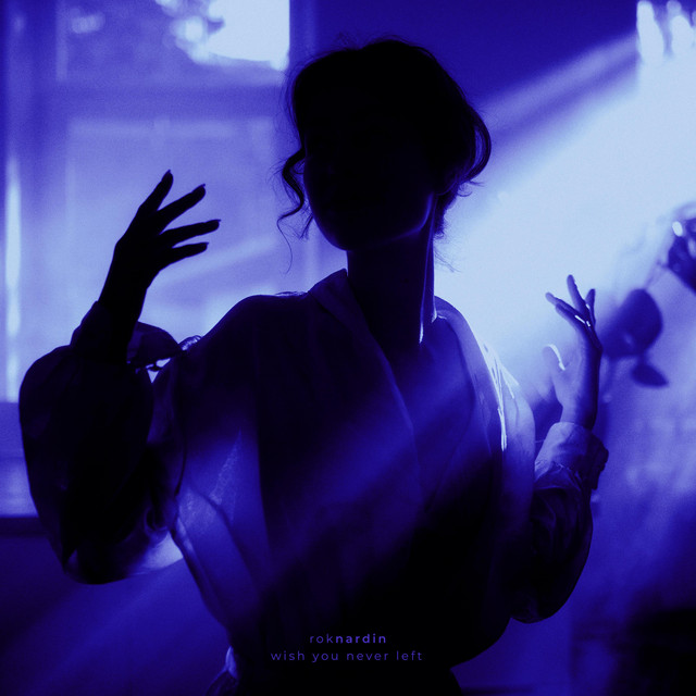 Rok Nardin Slowed