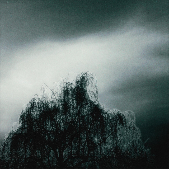 this desert only knows my name — Motel Illusion