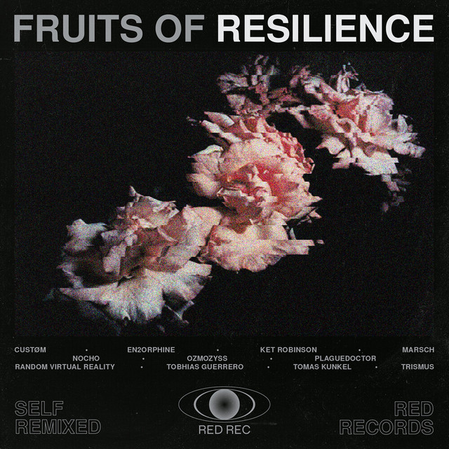Fruits Of Resilience (Self Remixed) cover