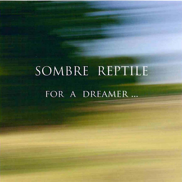 Sombre Reptile Photo
