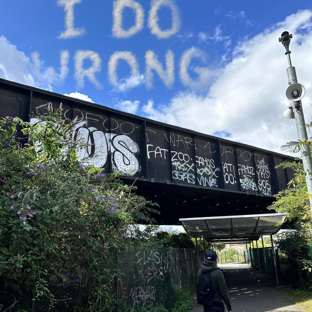 I DO WRONG cover art