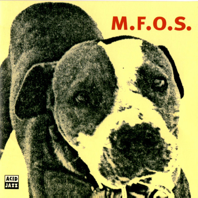 M.F.O.S. cover art