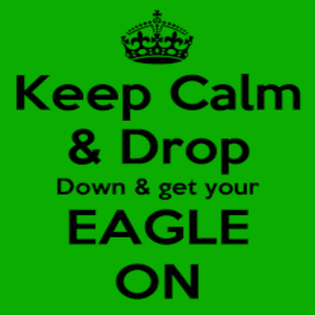 Eagle On - Single by Prod By FDB | Spotify