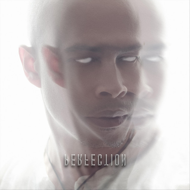 Perfection cover