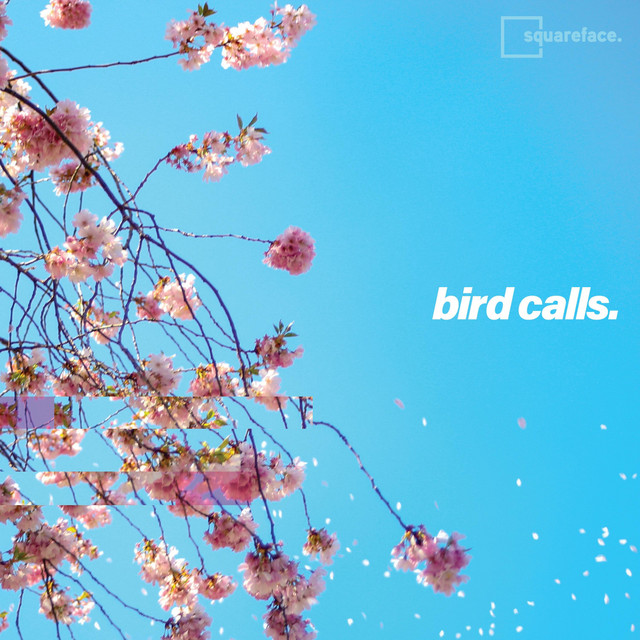 Bird Calls cover art