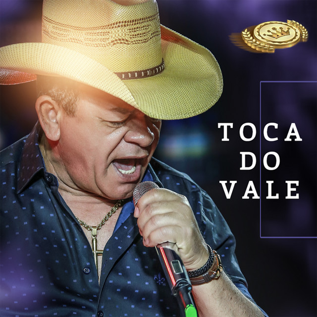 O Rei do Forró cover art