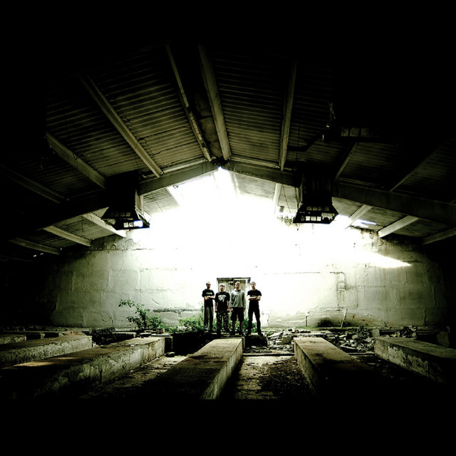 Cover art for Svin Killer — Promo 2011