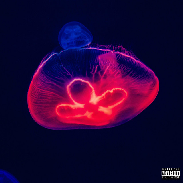 X cover art
