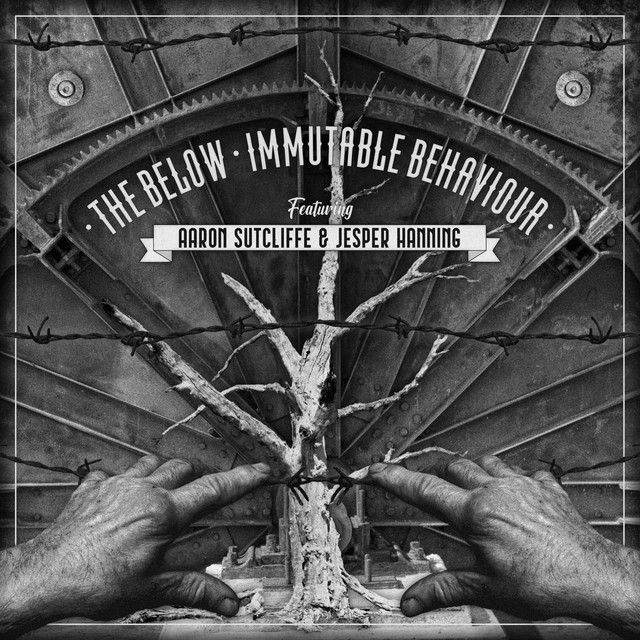 Immutable Behaviour cover art