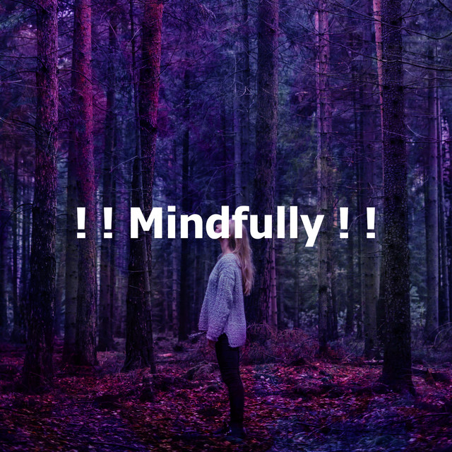Mindfully ! ! - Album by Sounds of Nature White Noise for Mindfulness ...