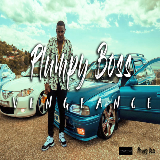 Vengeance - Single by Plumpy Boss | Spotify