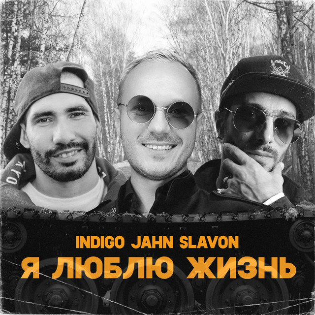 Я люблю жизнь cover art
