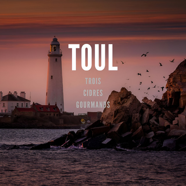 Toul cover art