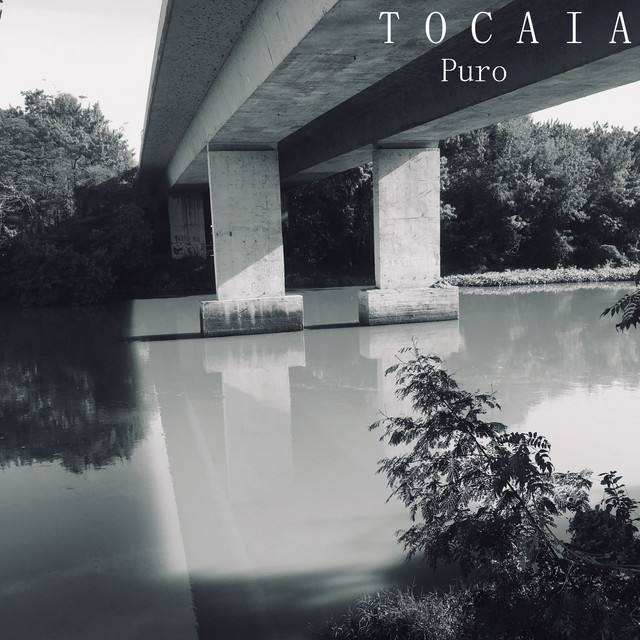 Puro cover art