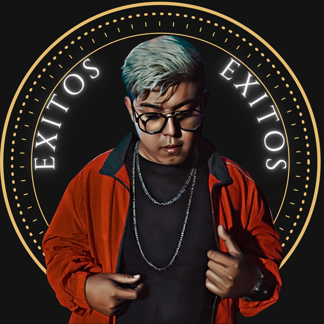 Éxitos cover art