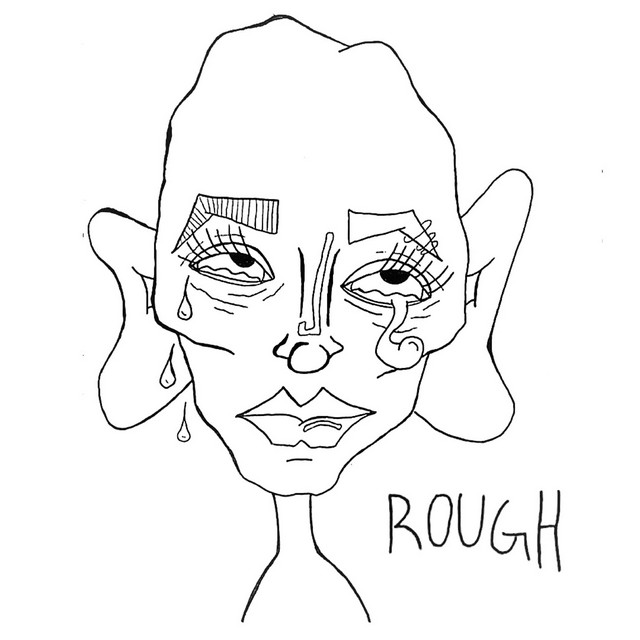 Rough cover art