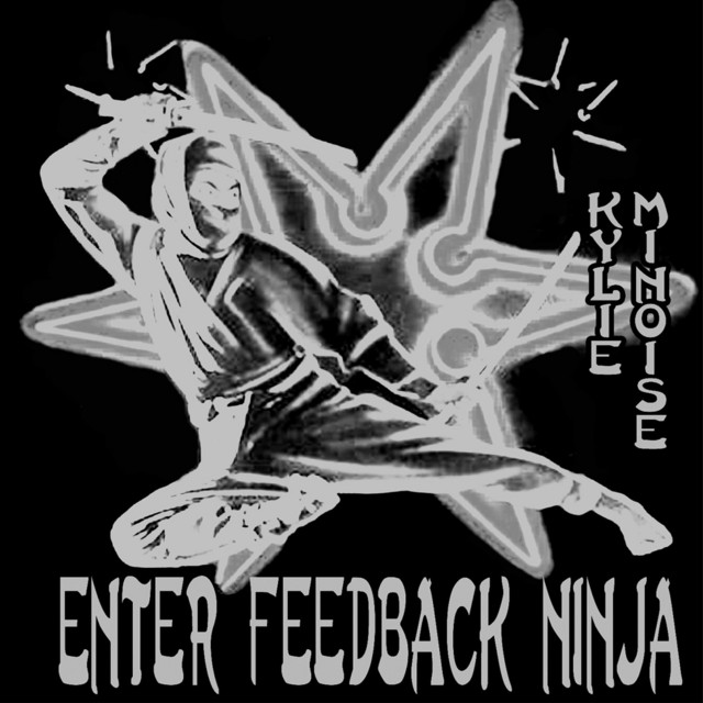 Enter Feedback Ninja cover art