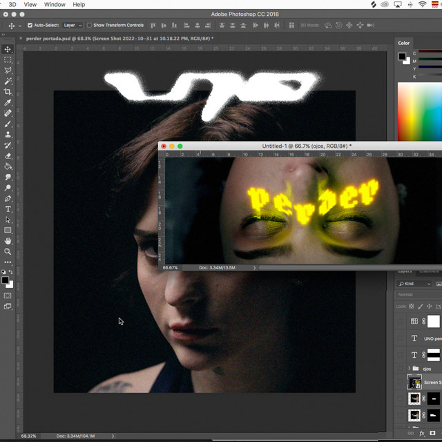 Perder cover art