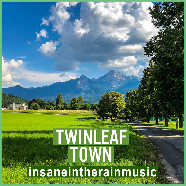 Pochette du titre Twinleaf Town