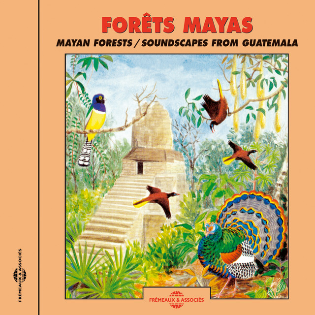 Mayan Forest cover art