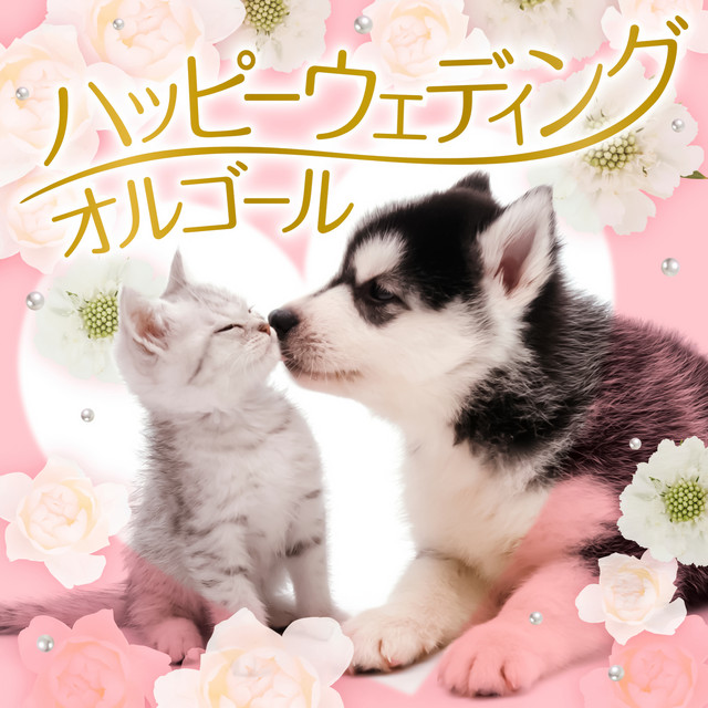Kiseki - Music Box - titre et paroles par コロムビア・オルゴール