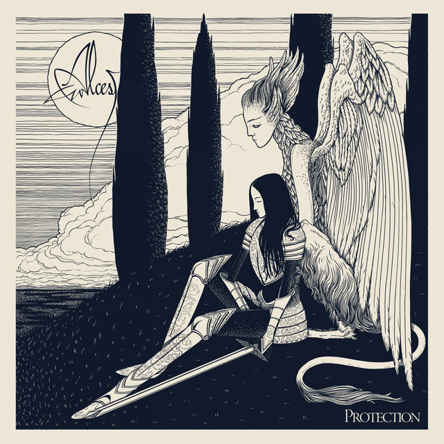 Protection cover art